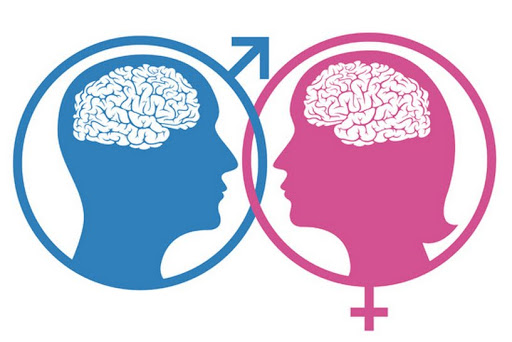 Gender cervello