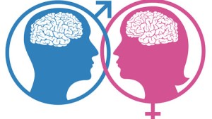 Male and female brains – fr