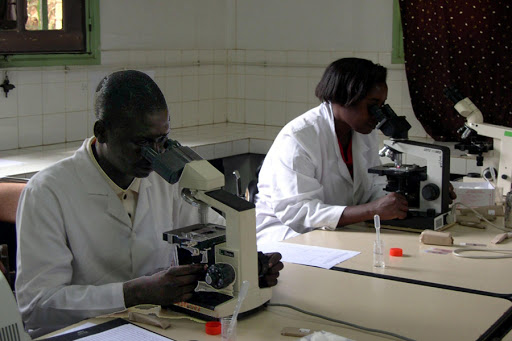 Researchers work in a laboratory in the Madagascan capital Antananarivo
