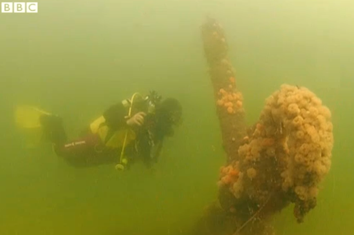 Ancient underwater forest discovered off Norfolk coast