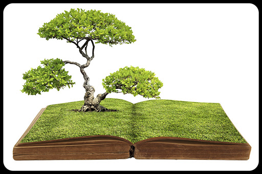 The big tree growing from a book © Kittichai / Shutterstock &#8211; fr