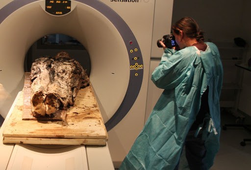 Une momie découverte à Rennes