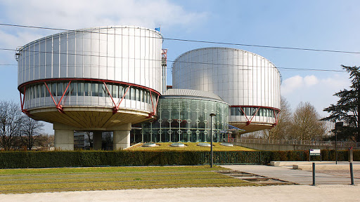 The European Court of Human Rights &#8211; fr