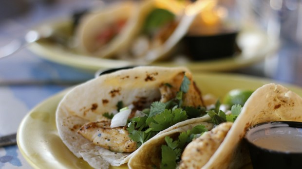web-fish-taco-food-mexican-jessica-cc