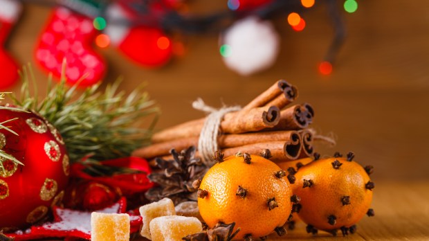 WEB CHRISTMAS TABLE TREE ORANGES Andrey Cherkasov-Shutterstock AI