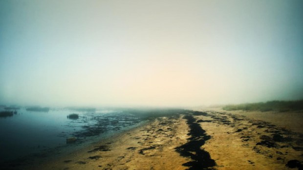 web-lonely-beach-fog-detlef-reichardt-cc