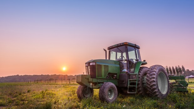 WEB TRACTOR WORK FIELD Lone Wolf Photography:Shutterstock AI
