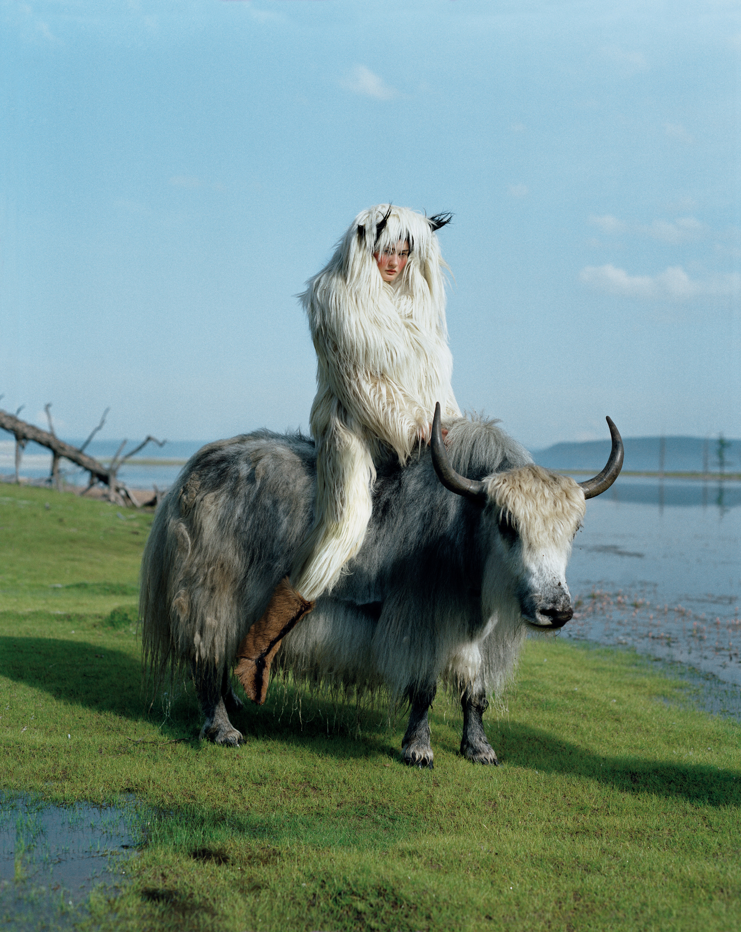 model riding yak on marsh, wears Giles Deacon goat hair jacket, Isabel Marant goat fur jacket worn as headpiece, Emma Roach goat hair trousers, fur boots, heavy blush, fashion shoot and travel diary in Mongolia