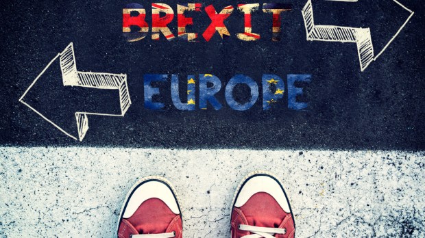 web-brexit-young-europe-way-family-businessshutterstock.jpg