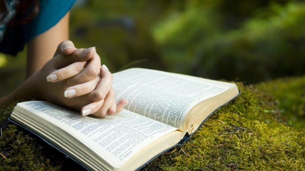 web-girl-praying-bible-grass-hands-jacob-gregoryshutterstock