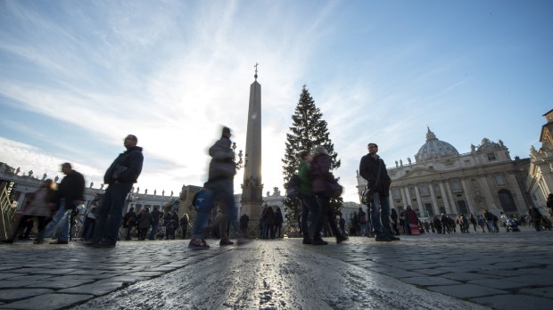 Christmas tree and the nativity scene at the Saint Peter&#8217;s squar
