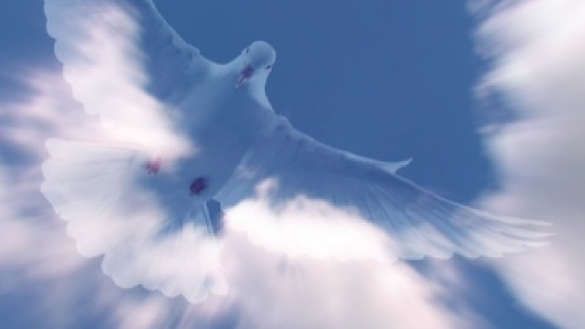 holyspiritmotion2
