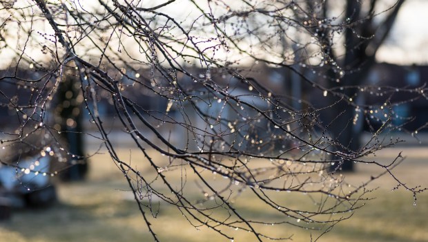 Date des Saints de Glace