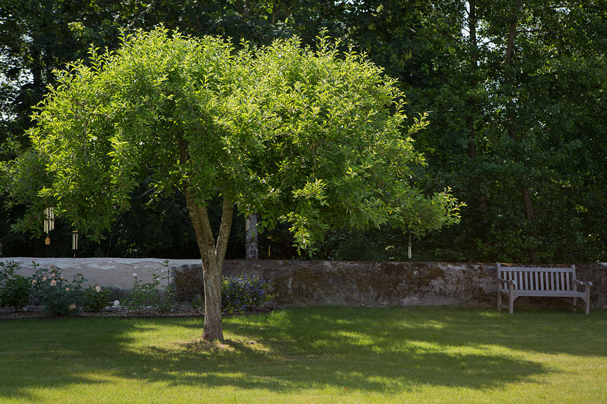 Ils vivent dans une ancienne abbaye