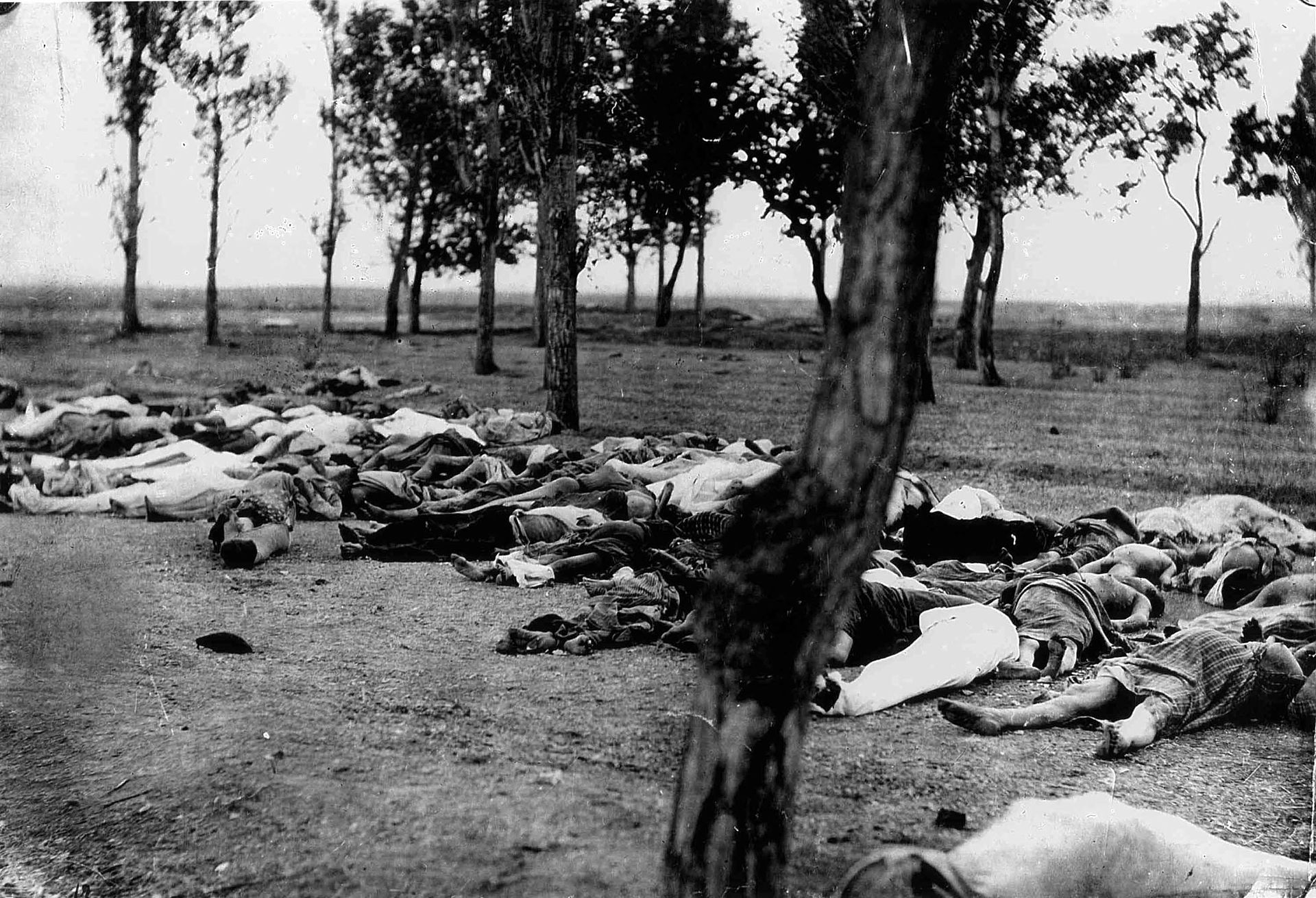 Cadavres d'Arméniens : photo prise par l'Église apostolique arménienne et transmise à Henry Morgenthau, 1915, près d'Ankara. © Wikipedia