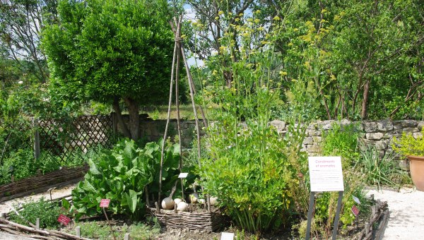 Salagon Jardin médiéval