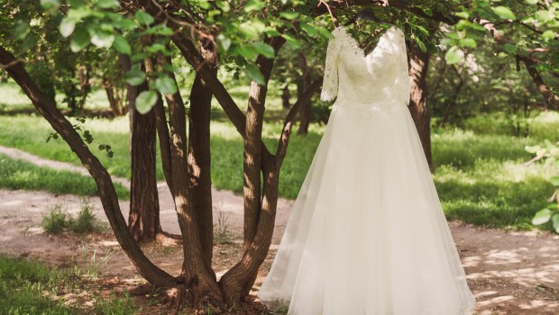 Robe de mariée dans la nature