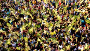 Les Philippins coupent des feuilles de palmier qu’ils tressent pour leur donner des formes diverses : colombe, fleur, croix. Après la cérémonie, ils accrochent leurs créations à leur porte pour éloigner le mal. © AFP / NOEL CELIS