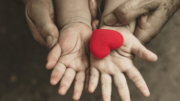 WEB_COMPASSION_HAND_HEART_BABY_Shutterstock_wk1003mike©