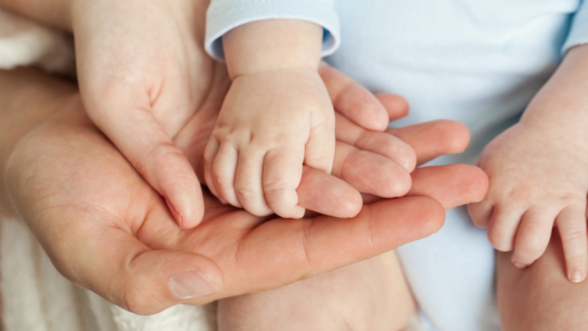 HANDS FAMILY