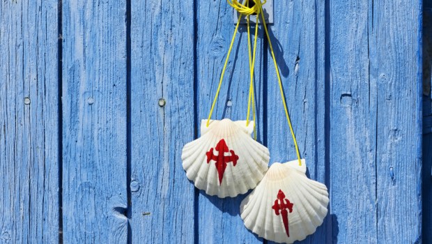 COQUILLES DE SAINT-JACQUES DE COMPOSTELLE