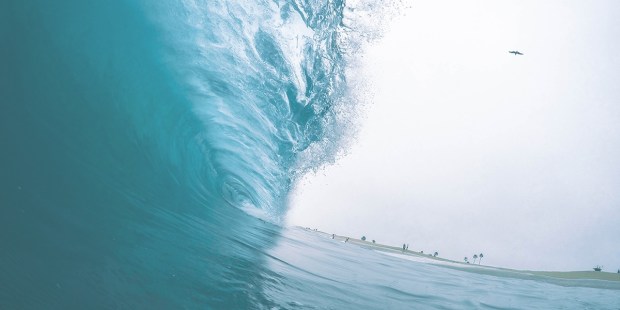 WAVE