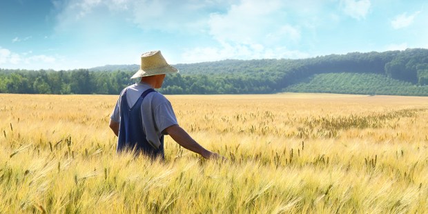 FARMER