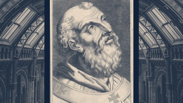 POPE-SILVERUS