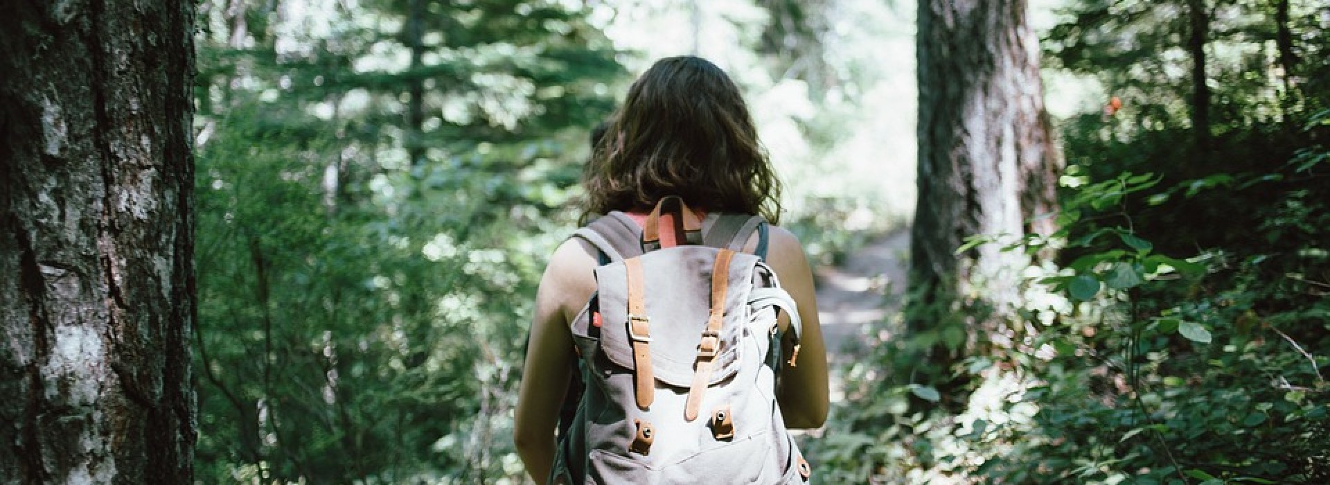 hiker-918704_960_720