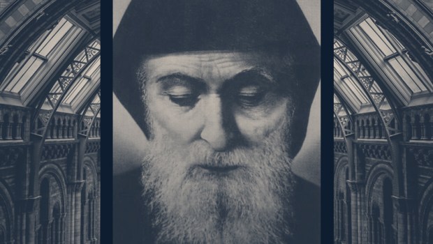 CHARBEL-MAKHLOUF