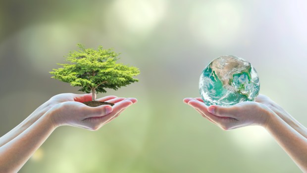 ecology