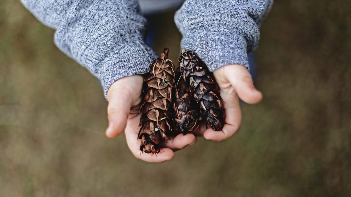 6 façons d’initier les enfants à l’écologie