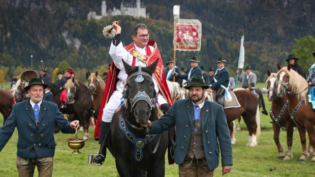 CANON HORSE
