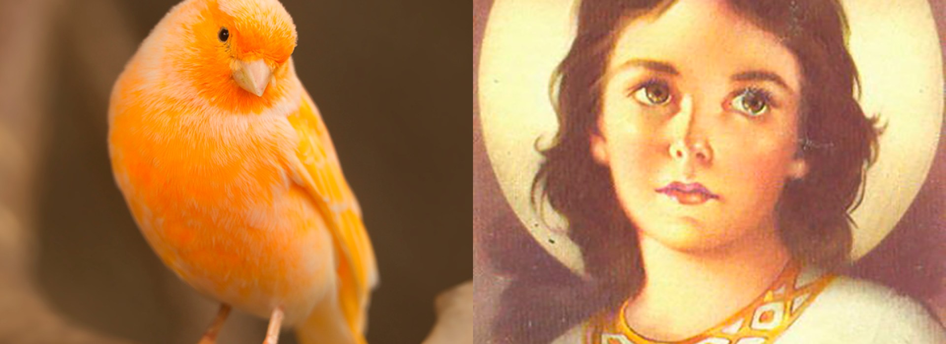 WEB3-Jesus Child – Orange Canary