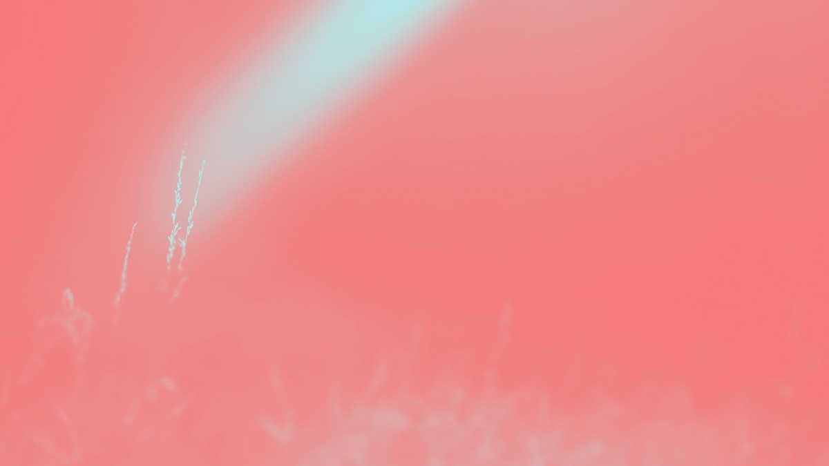 LIGHT