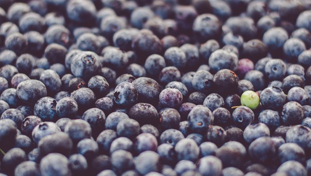 BLUEBERRY