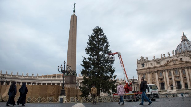 Christmas tree St Peter