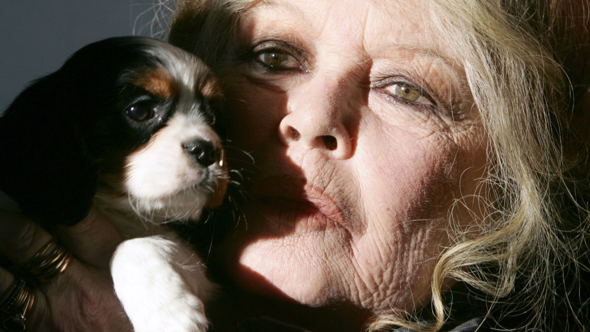 BRIGITTE BARDOT