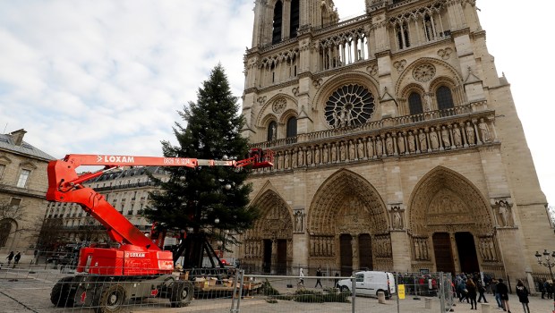 FRANCE-CHRISTMAS-TREE-Notre-Dame de Paris