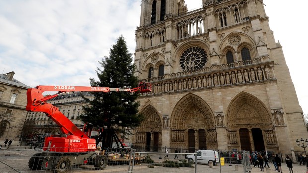 FRANCE-CHRISTMAS-TREE-Notre-Dame de Paris