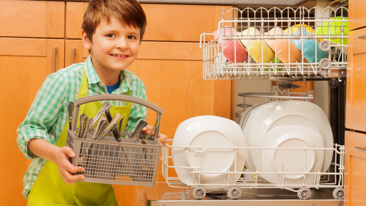 BOY DISHWASHER
