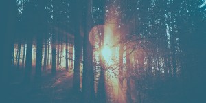 L’identité chrétienne est une identité de lumière, et non pas de ténèbres.