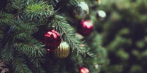 5 conseils pour garder son sapin au top jusqu’à Noël