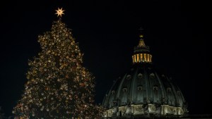 VATICAN; CHRISTMAS; TREE;