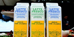 Le Vatican repeint ses murs avec&#8230; du lait de la ferme de Castel Gondolfo !