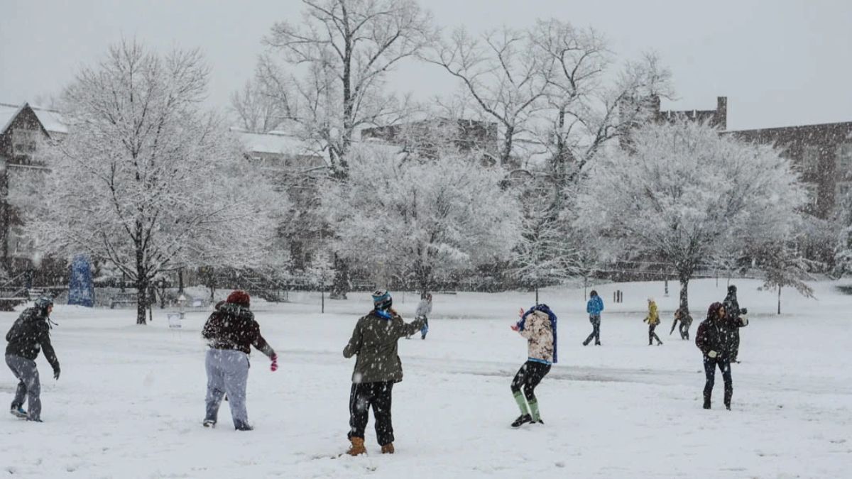 Neige Hiver Froid
