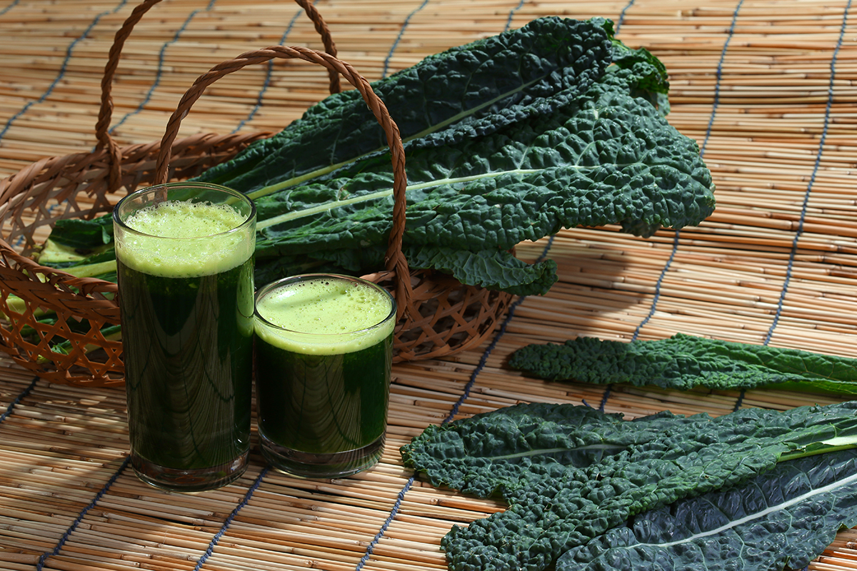 Kale or leaf cabbage