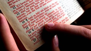 HOLY BIBLE