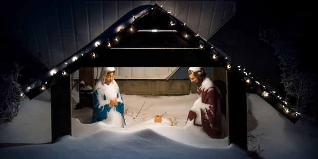 GRAYSON,NATIVITY