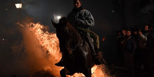 LUMINARIAS FESTIVALS